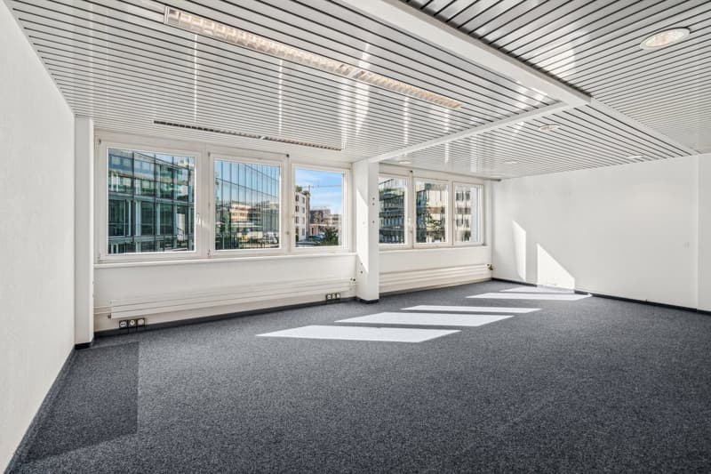 empty room, carpet floor, large windows, ceiling lights