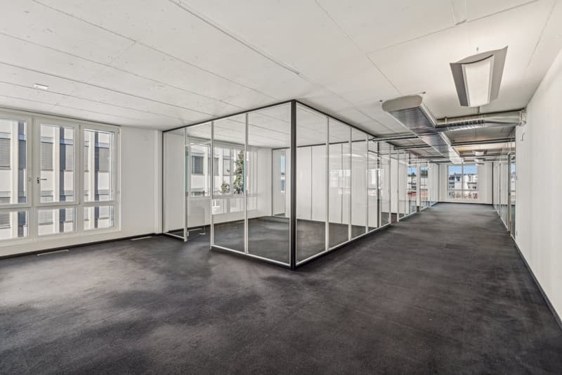 empty office space, glass partitions, carpeted floor, white walls, large windows, bright