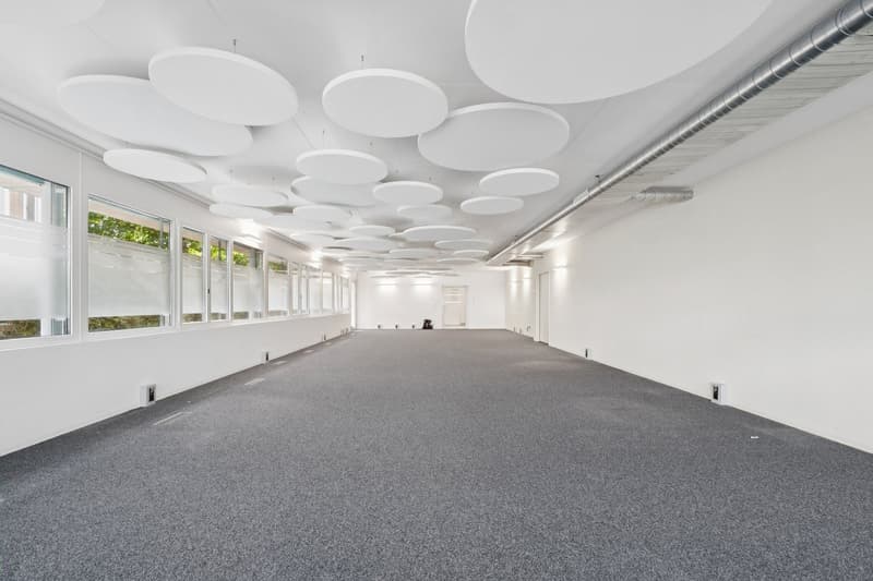Attraktive Gewerbefläche im EG an zentraler Lage in Opfikon (5)
