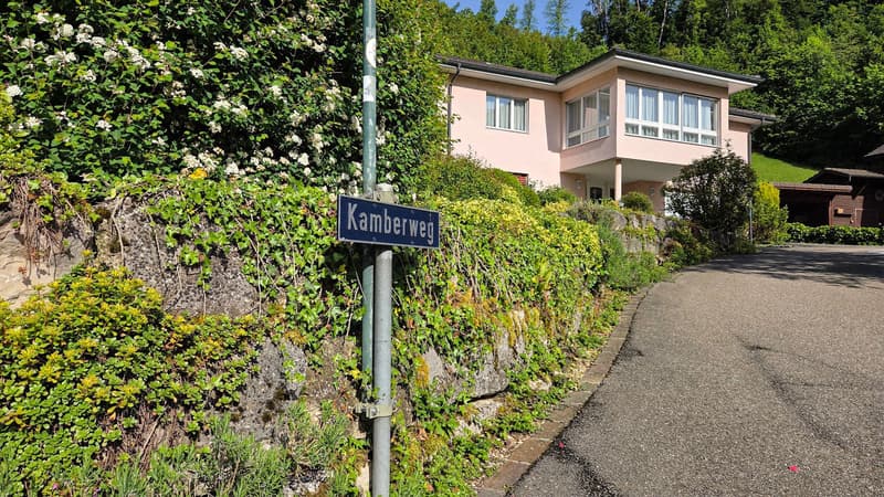 Bauland mit unverbaubarer Weitsicht in Rümlingen (2'024 m²) (3)
