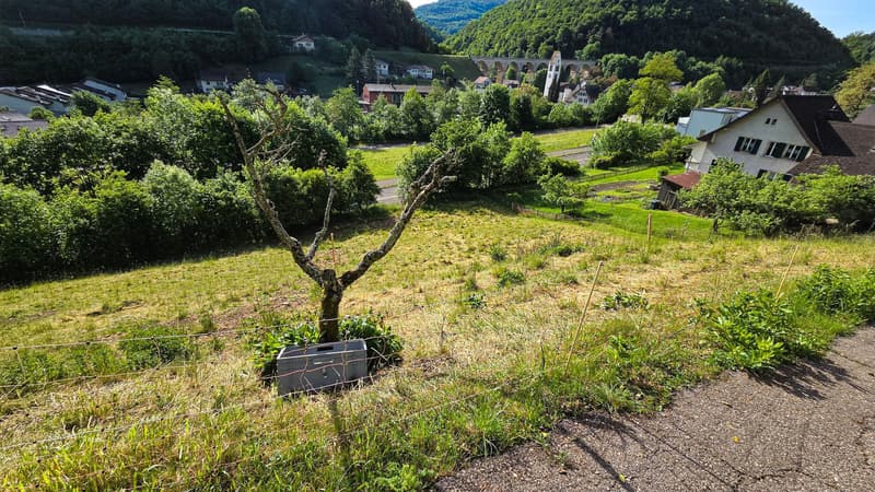 Bauland mit unverbaubarer Weitsicht in Rümlingen (2'024 m²) (10)