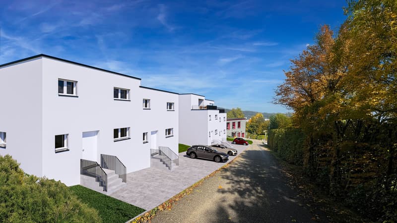 Neues 4.5-Zimmer-DEFH in Pratteln kaufen (6)