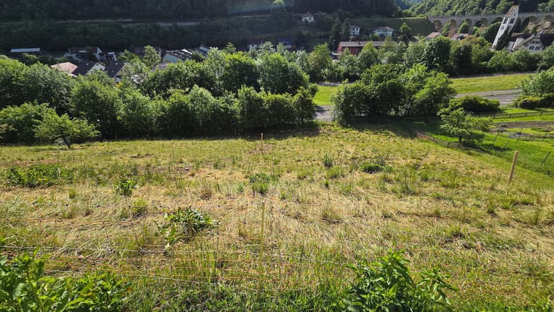 Weitsicht für Ihre Zukunft - Bauland in Rümlingen (9)