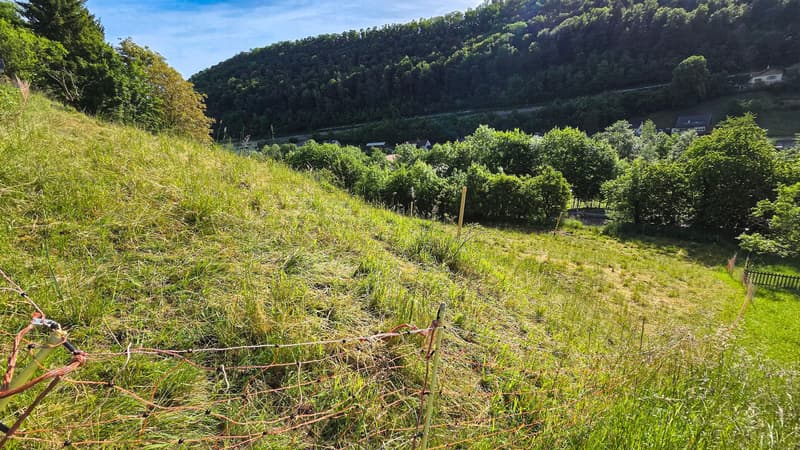 Weitsicht für Ihre Zukunft - Bauland in Rümlingen (7)