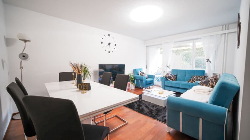 Ihre Wohnperle in Binningen - modernisiert und stadtnah (4)