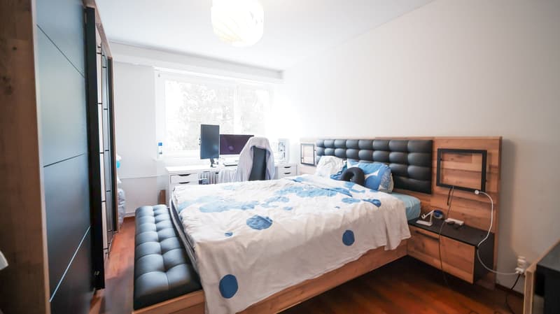 Ihre Wohnperle in Binningen - modernisiert und stadtnah (11)