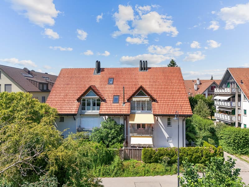 3.5-Zimmer-Gartenwohnung mit Cheminée in Jonen (1)