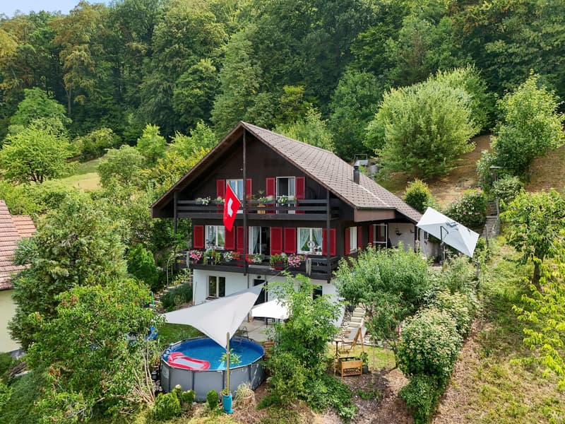 Charmantes 5.5-Zimmer-Bijou am Waldrand mit grossem Grundstück und Weitblick (2)