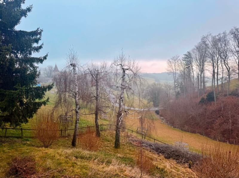 Villa individuelle lumineuse avec grands espaces & studio indépendant (17)