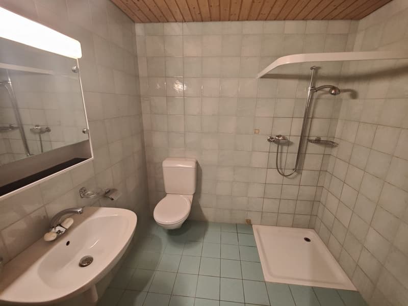 Appartement de 2.5 pièces avec balcon à Broc (4)