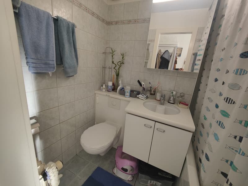 Appartement lumineux de 3.5 pièces à Romont (5)