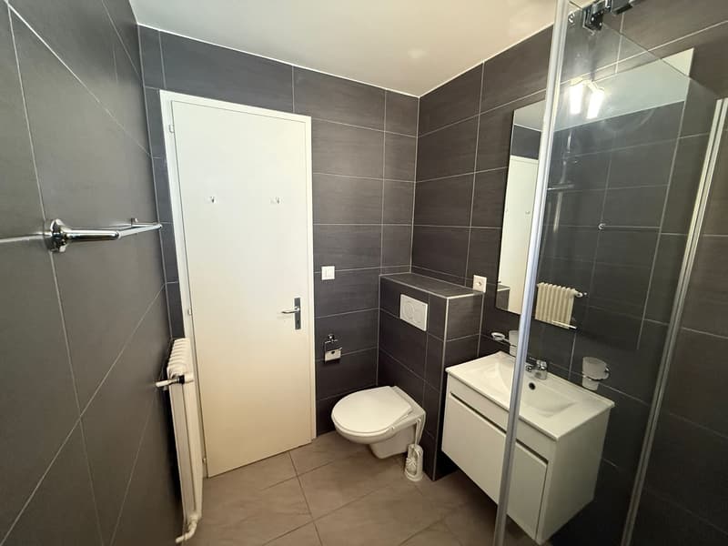 Appartement de 3.5 pièces à Pringy (7)
