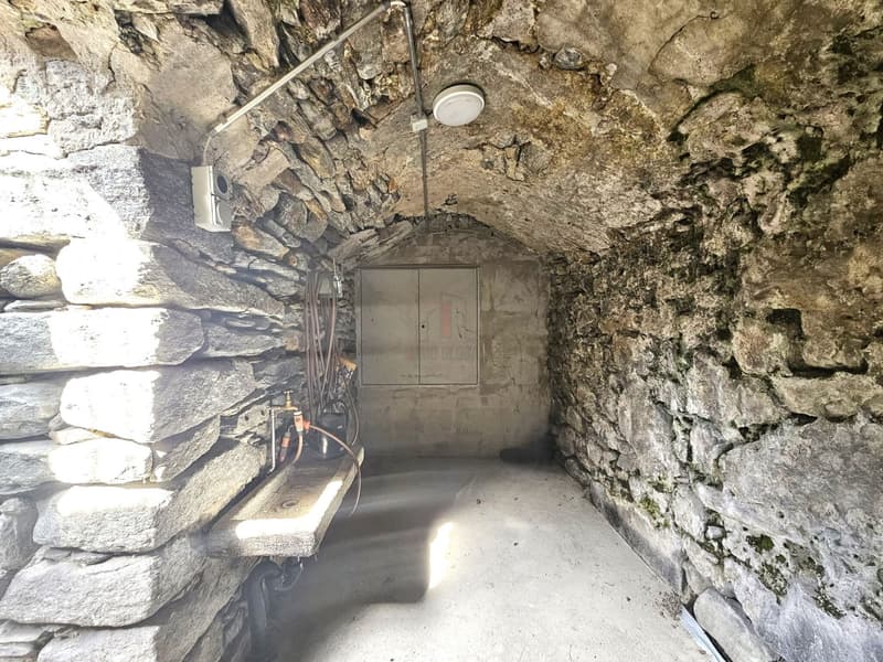 RUSTICO MERAVIGLIOSO, TRADIZIONE E POSSIBILITÃ DI SVILUPPO (9)
