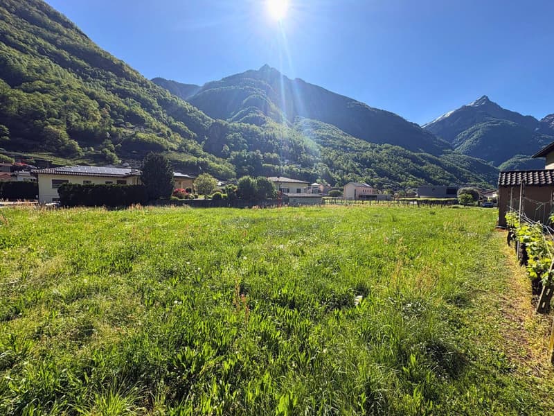 NELLA VALLE DEL SOLE, OPPORTUNITÃ PER INVESTIRE (5)