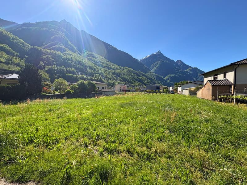 NELLA VALLE DEL SOLE, OPPORTUNITÃ PER INVESTIRE (2)