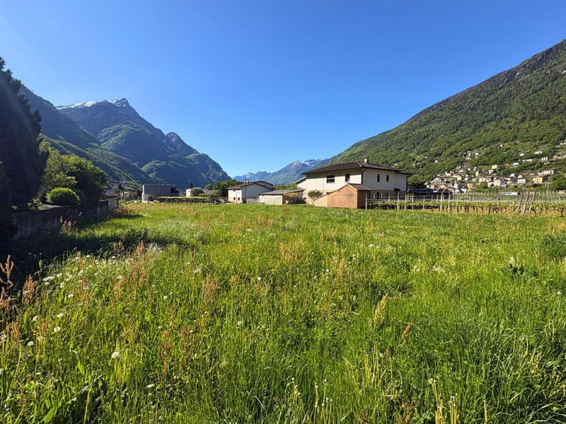 NELLA VALLE DEL SOLE, OPPORTUNITÃ PER INVESTIRE (3)