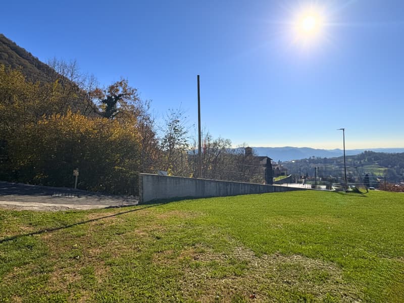 LA TUA CASA NEL VERDE (7)