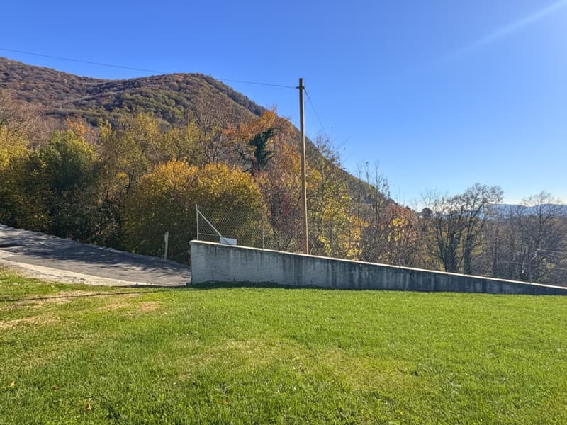 LA TUA CASA NEL VERDE (8)