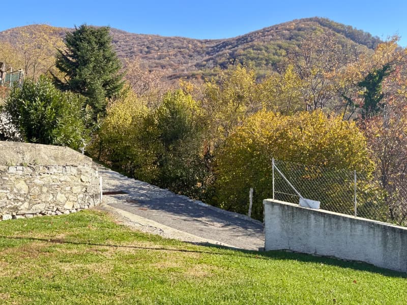 LA TUA CASA NEL VERDE (9)