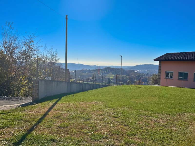 LA TUA CASA NEL VERDE (6)