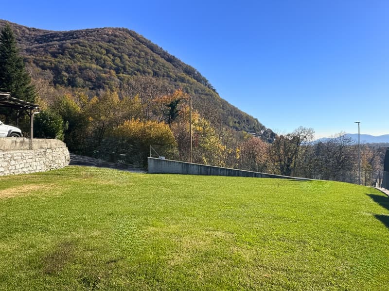 LA TUA CASA NEL VERDE (4)