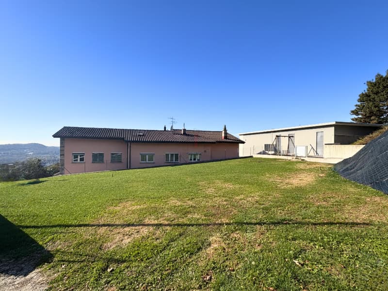 LA TUA CASA NEL VERDE (3)