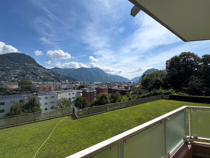 SPLENDIDA VISTA DALLA TUA NUOVA DIMORA (11)