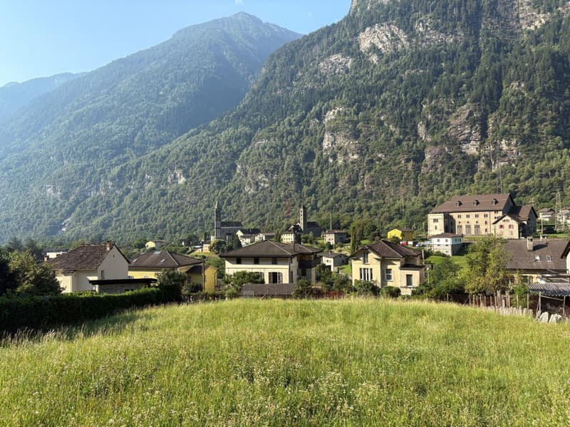 EDIFICA IN ZONA RESIDENZIALE SOLEGGIATA IMMERSA NEL VERDE (2)