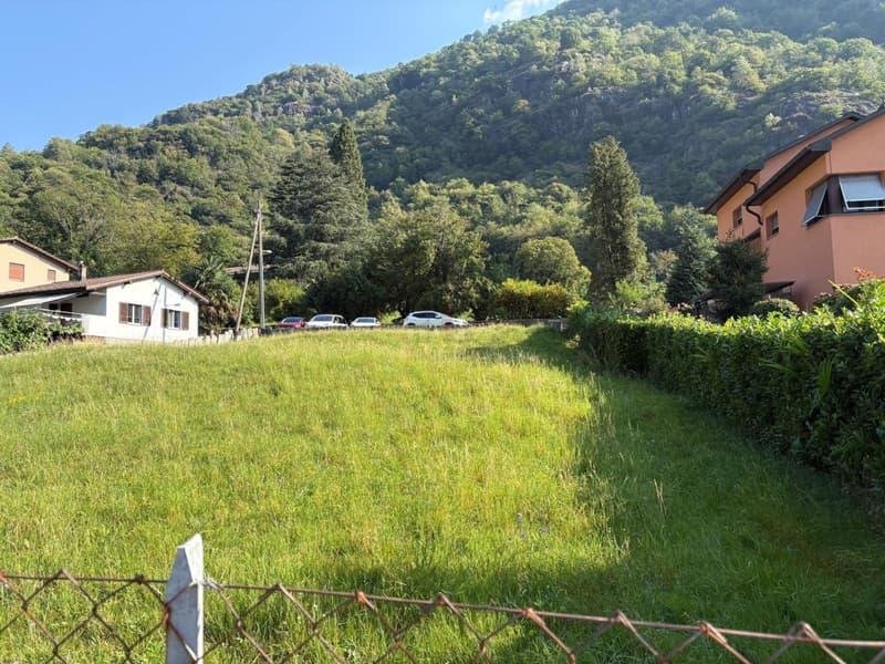EDIFICA IN ZONA RESIDENZIALE SOLEGGIATA IMMERSA NEL VERDE (8)