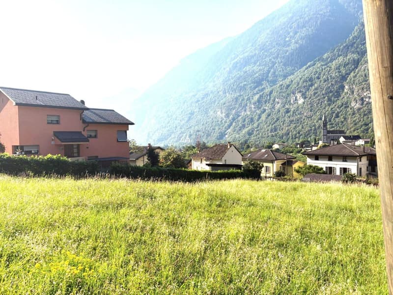 EDIFICA IN ZONA RESIDENZIALE SOLEGGIATA IMMERSA NEL VERDE (7)