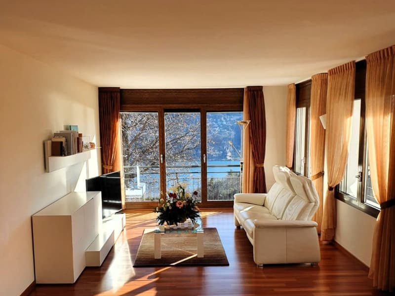 PER LE TUE VACANZE IN TICINO (1)