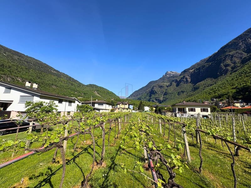 NELLA VALLE DEL SOLE, OPPORTUNITÃ PER INVESTIRE (7)