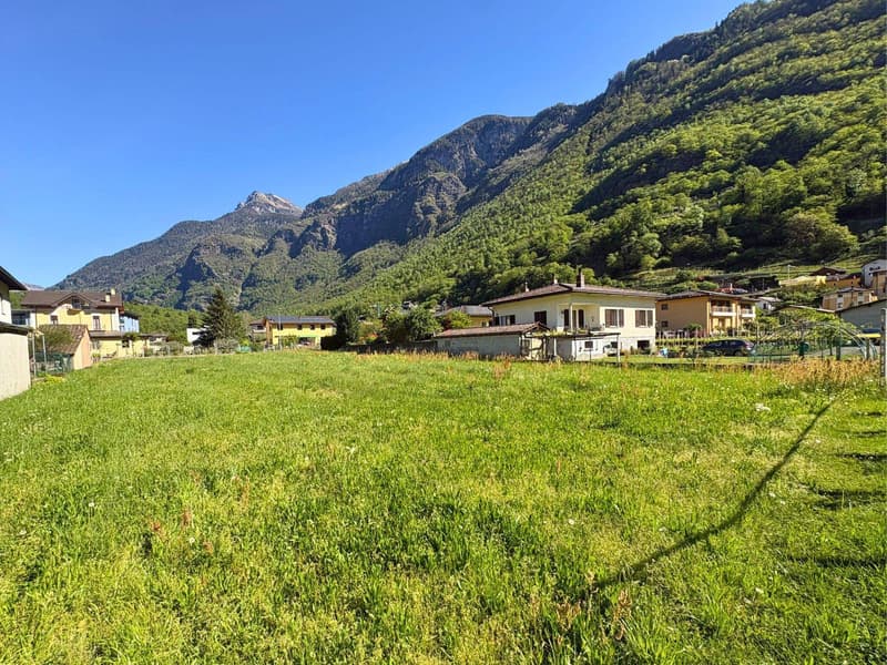 NELLA VALLE DEL SOLE, OPPORTUNITÃ PER INVESTIRE (4)