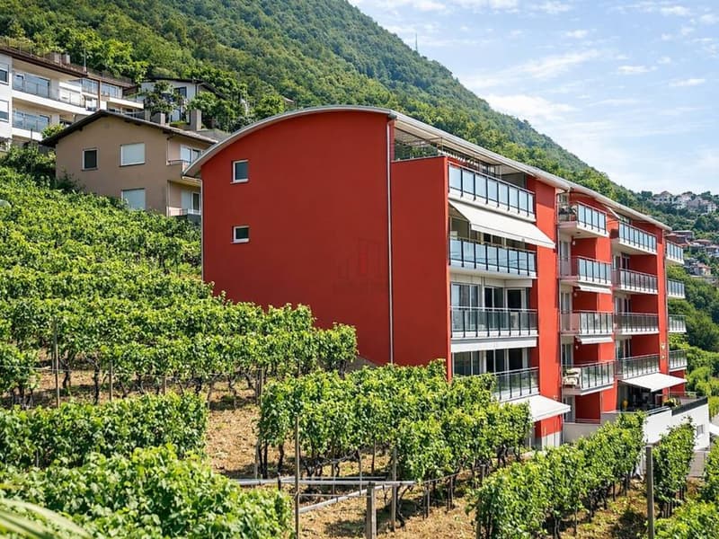 FINITURE MODERNE E GIARDINO, ANCHE COME RESIDENZA SECONDARIA (11)
