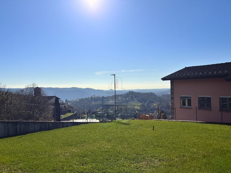 LA TUA CASA NEL VERDE (2)