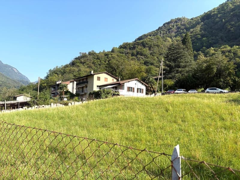 EDIFICA IN ZONA RESIDENZIALE SOLEGGIATA IMMERSA NEL VERDE (5)