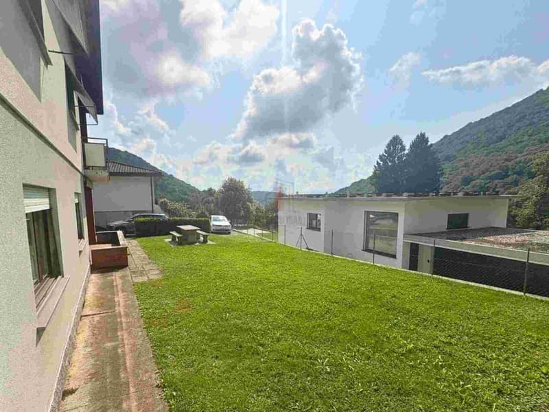 NELLA SPLENDIDA CAPRIASCA INCORNICIATA NEL VERDE (8)