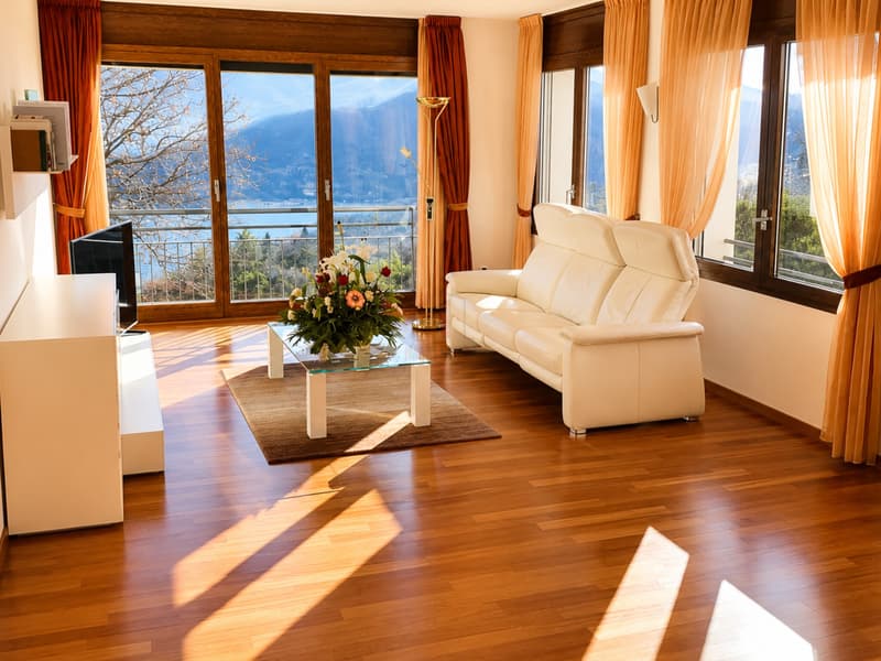 PER LE TUE VACANZE IN TICINO (4)