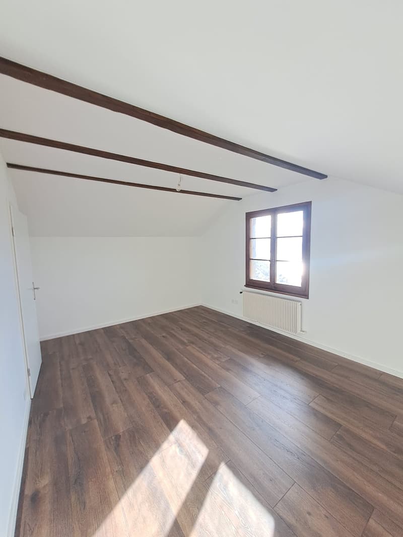 Charmant chalet entièrement rénové (20)