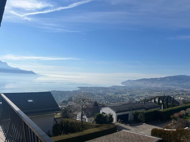 Maison individuelle à Chernex (2)