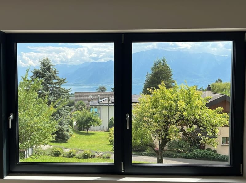 Maison moderne entièrement rénovée (5)
