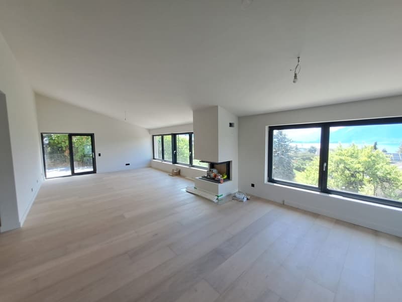 Maison moderne entièrement rénovée (3)