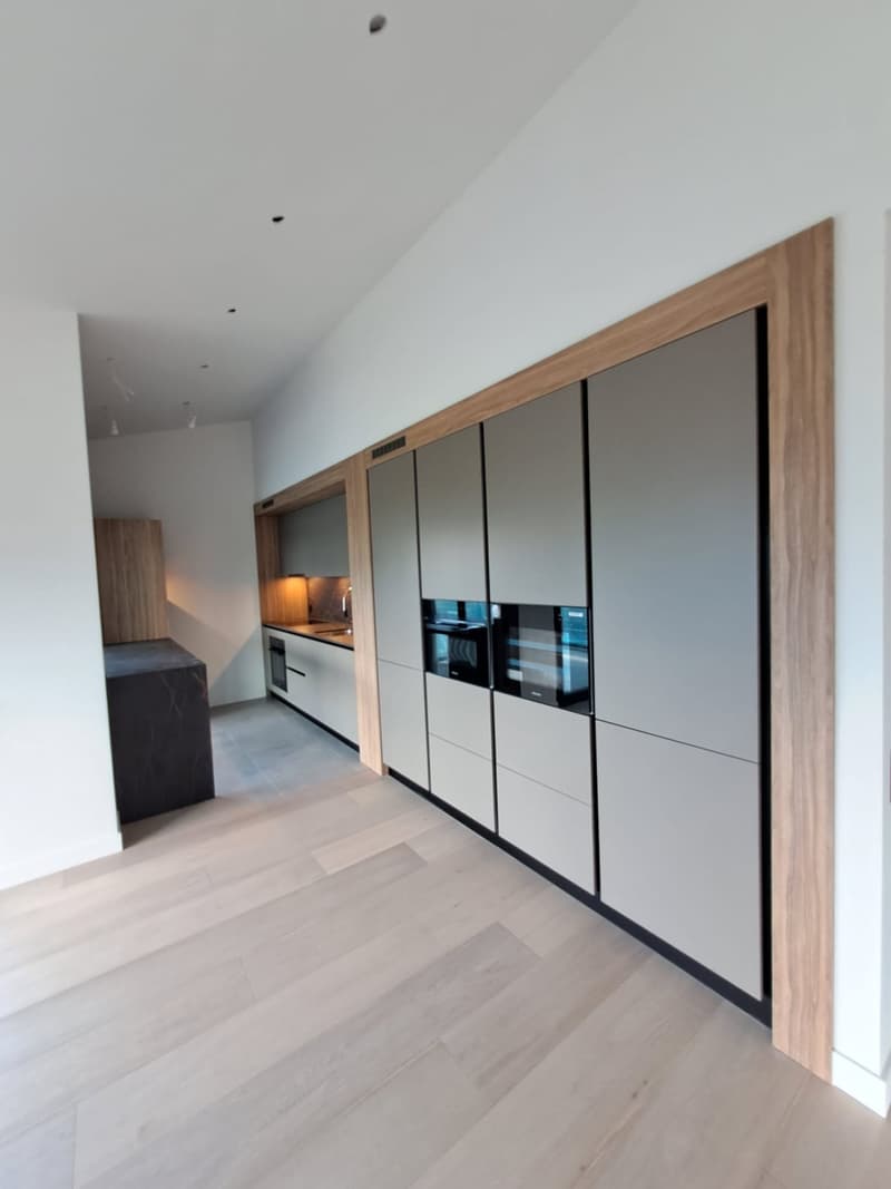Maison moderne entièrement rénovée (9)