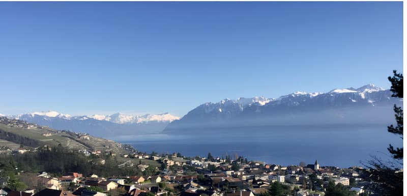 Construction en démarrage - Villa à Lutry avec vue imprenable sur le lac et les montagnes (4)