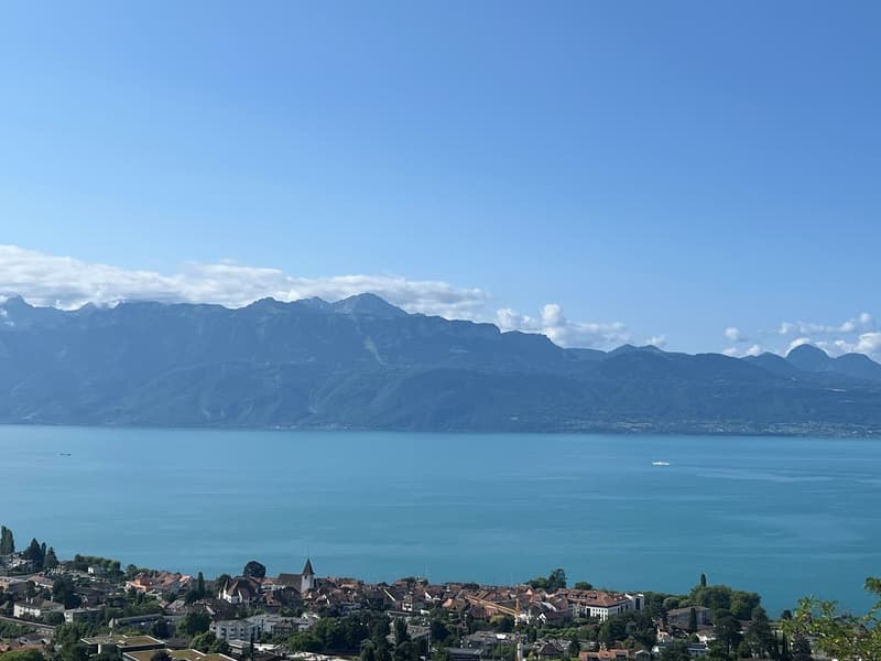 Construction en démarrage - Villa à Lutry avec vue imprenable sur le lac et les montagnes (6)