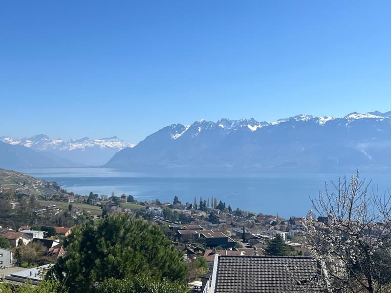 Construction en démarrage - Villa à Lutry avec vue imprenable sur le lac et les montagnes (3)