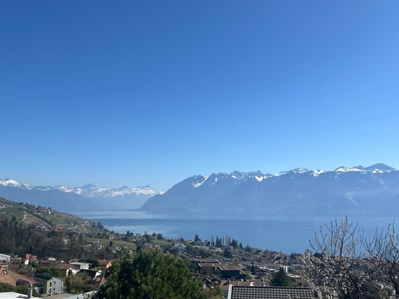 Construction en démarrage - Villa à Lutry avec vue imprenable sur le lac et les montagnes (7)