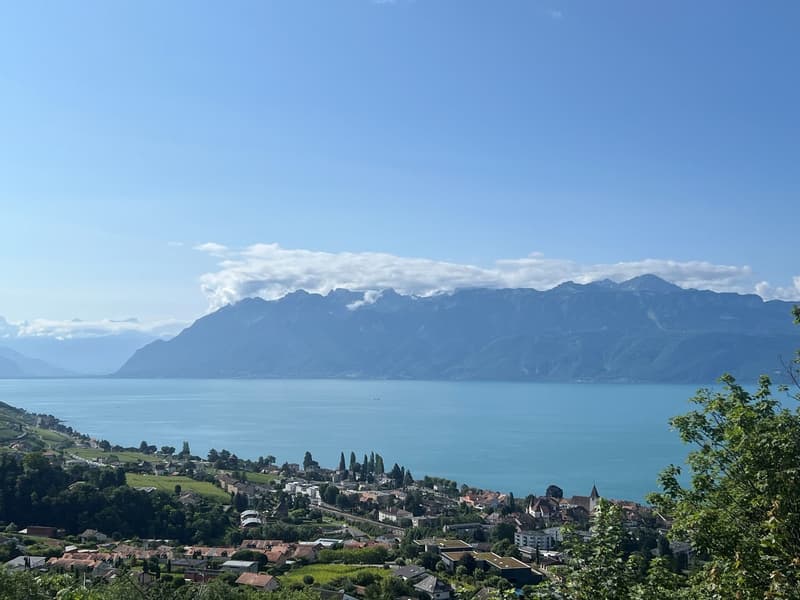 Construction en démarrage - Villa à Lutry avec vue imprenable sur le lac et les montagnes (5)
