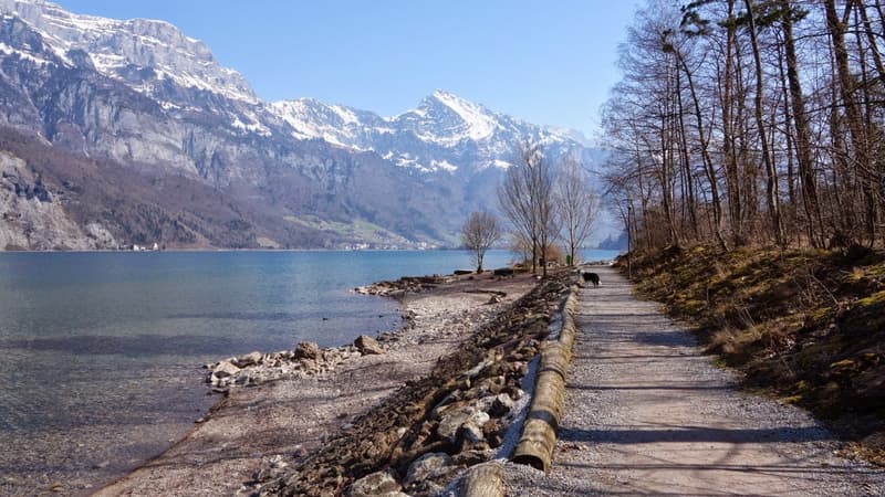 Exklusive 3.5-Zimmerwohnung als zweite Wohnsitz mit traumhafter Panoramasicht auf den Walensee (90)