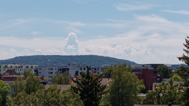 Zürichberg